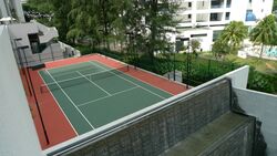Skyline Residences (D4), Condominium #571845011